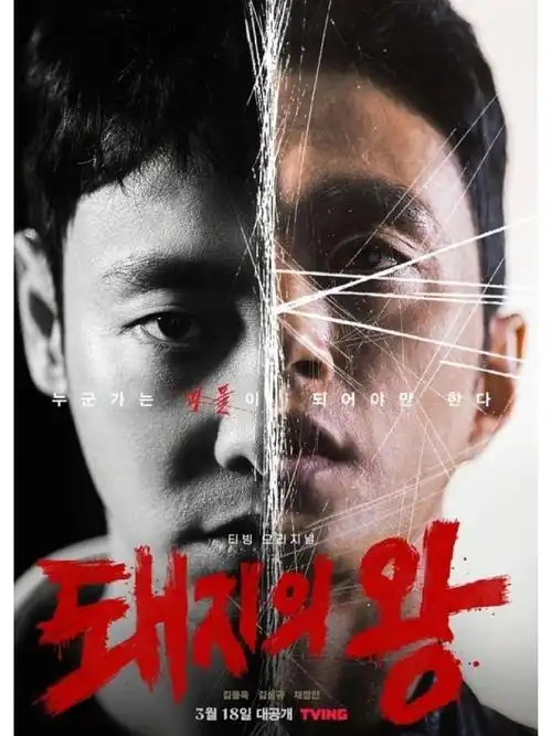 修罗影视 狂飙 高清电视剧在线观看